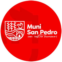 Logo de Municipalidad de San Pedro Sac., SM