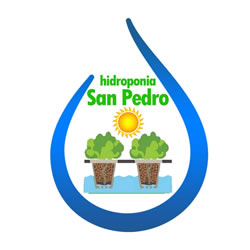 Hidroponía San Pedro